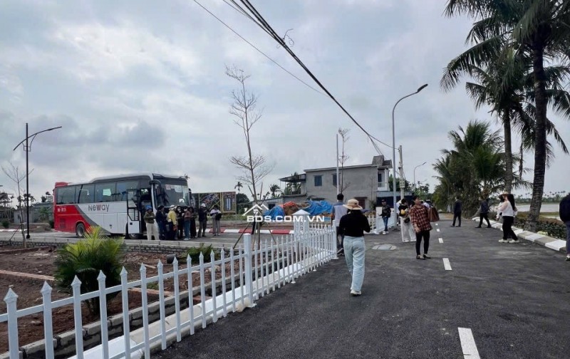 An lão hải phòng