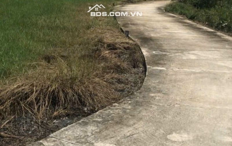 Bán nhanh 625m2 đất thổ gần siêu thị Aeon Tân An, đất siêu đẹp