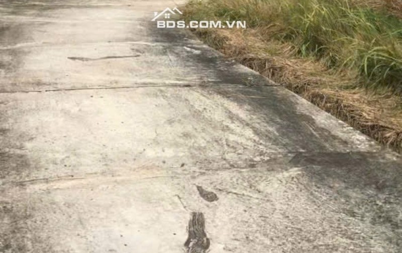 Bán nhanh 625m2 đất thổ gần siêu thị Aeon Tân An, đất siêu đẹp