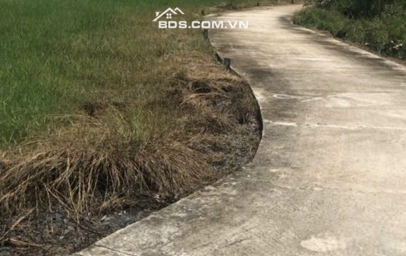 Bán nhanh 625m2 đất thổ gần siêu thị Aeon Tân An, đất siêu đẹp