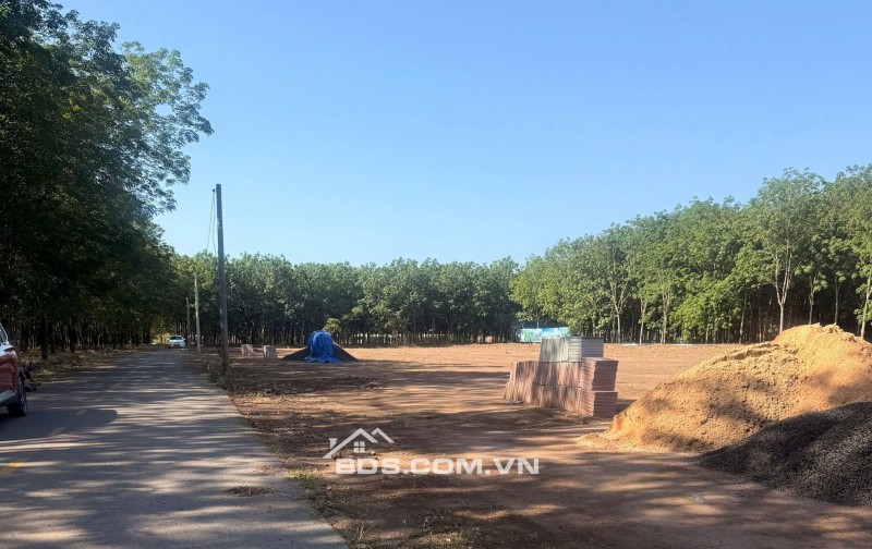 Gần KCN becamex, ngay ngã 4 Chơn thành đi vào 500m là tới đất giá chỉ 428triệu , LH 0343261559