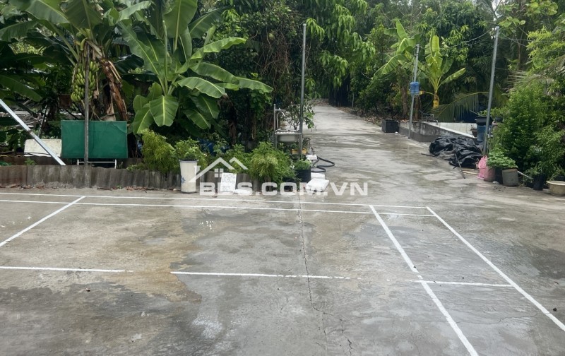 Cần bán 4006m2 đất vườn đường nhựa gần khu nhiều Bệnh viên nhi đồng TP hơn 1km