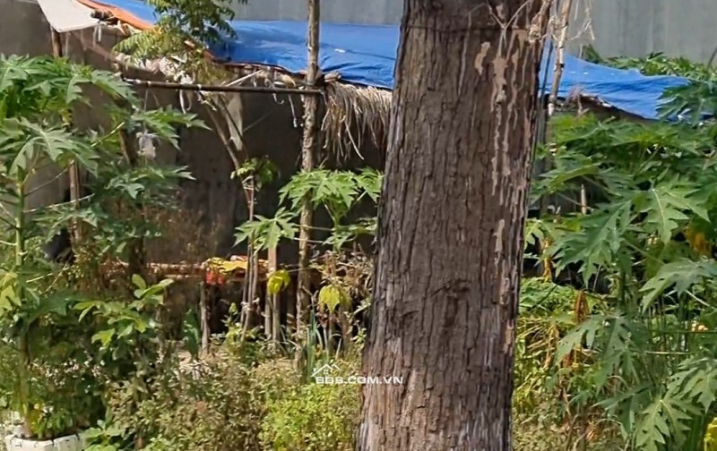 Đường N23, Phường phú Tân Tp Thu dầu một, Bình Dương