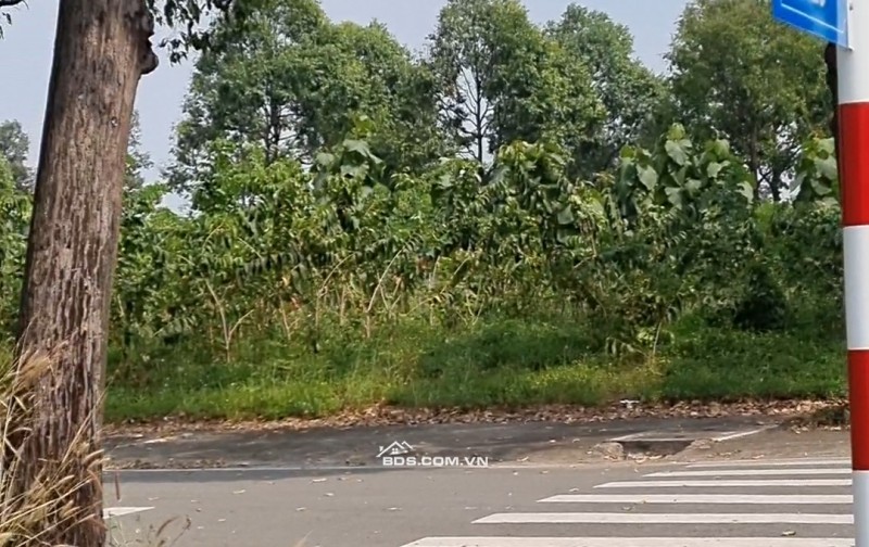 Đường N23, Phường phú Tân Tp Thu dầu một, Bình Dương