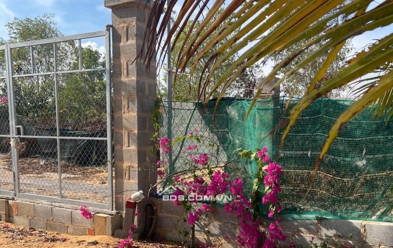 [HÀNG HIẾM] CẦN BÁN GẤP 510M2 ĐẤT KỀ VÕ NGUYÊN GIÁP, MŨI NÉ - CHỈ 2TRIỆU/M2