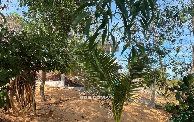 [HÀNG HIẾM] CẦN BÁN GẤP 510M2 ĐẤT KỀ VÕ NGUYÊN GIÁP, MŨI NÉ - CHỈ 2TRIỆU/M2