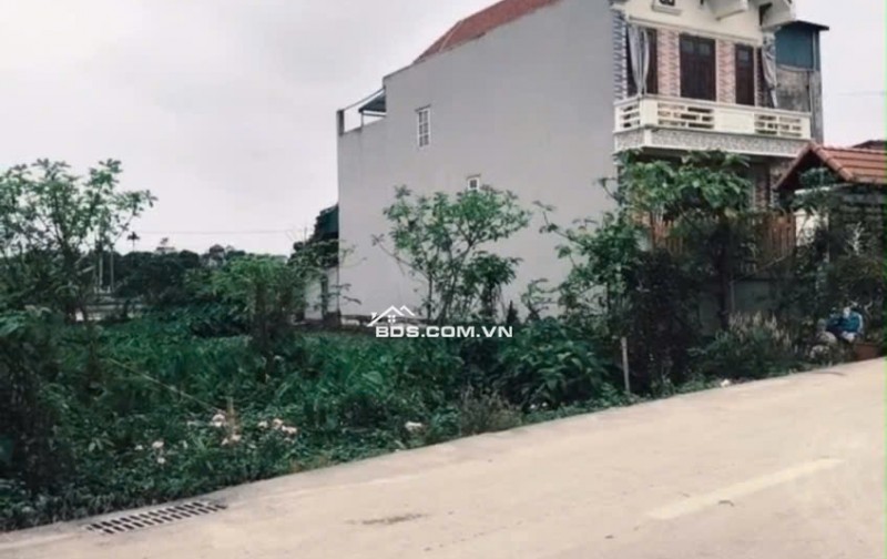 Cần bán lô đất siêu đẹp mặt tiền đường nhựa Xã Chuyên Mỹ, Hà Nội, DT 150m2, giá chỉ 30tr/m2