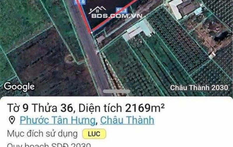 Siêu phẩm - Bán đất mặt tiền đường DT 827B, Châu Thành, Long An, DT 4.000m2, giá đầu tư