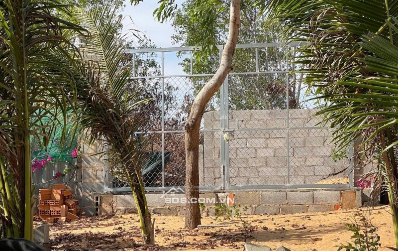 [HÀNG HIẾM] CẦN BÁN GẤP 510M2 ĐẤT KỀ VÕ NGUYÊN GIÁP, MŨI NÉ - CHỈ 2TRIỆU/M2