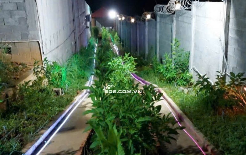 Chính Chủ Bán Nhà Đất Có Sẵn Nhà Yến Diện Tích 1249m² Tại Nam Cát Tiên, Tân Phú, Đồng Nai