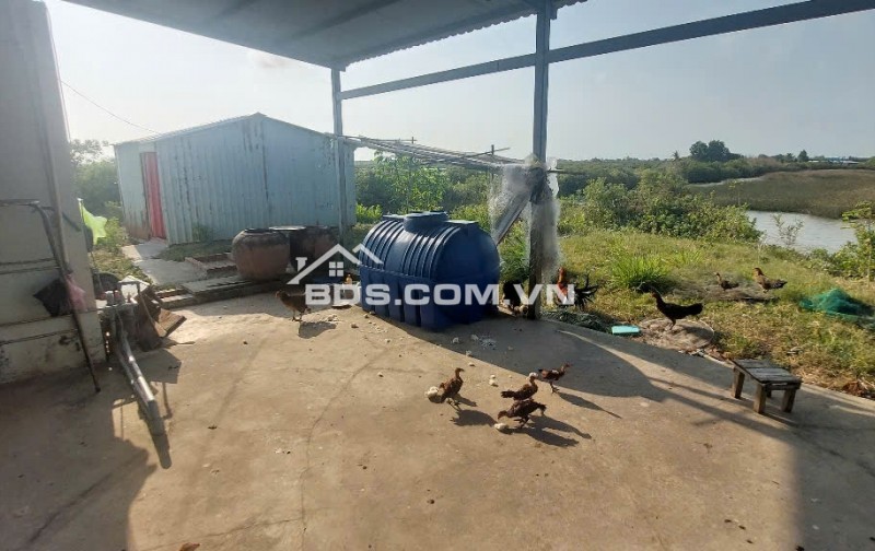 CƠ HỘI VÀNG: SỞ HỮU 1,8 HÉCTA ĐẤT THỦY SẢN – TẶNG NGAY NHÀ KIÊN CỐ FULL NỘI THẤT