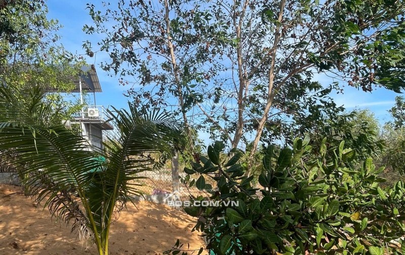 [HÀNG HIẾM] CẦN BÁN GẤP 510M2 ĐẤT KỀ VÕ NGUYÊN GIÁP, MŨI NÉ - CHỈ 2TRIỆU/M2