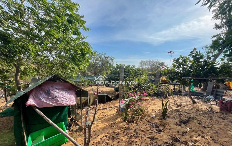 [HÀNG HIẾM] CẦN BÁN GẤP 510M2 ĐẤT KỀ VÕ NGUYÊN GIÁP, MŨI NÉ - CHỈ 2TRIỆU/M2