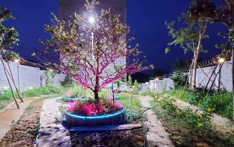 Chính Chủ Bán Nhà Đất Có Sẵn Nhà Yến Diện Tích 1249m² Tại Nam Cát Tiên, Tân Phú, Đồng Nai