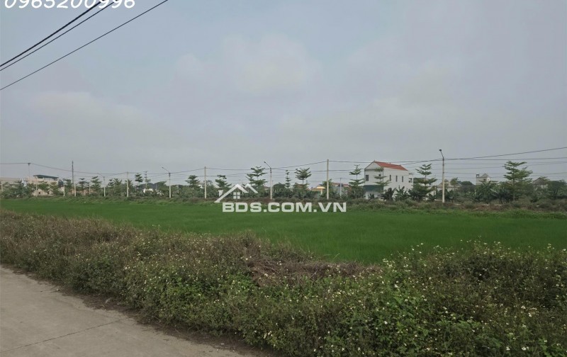 Bán đất siêu đẹp mặt tiền đường xã Khánh Hội, Huyện Yên Khánh, Ninh Bình, giá đầu tư