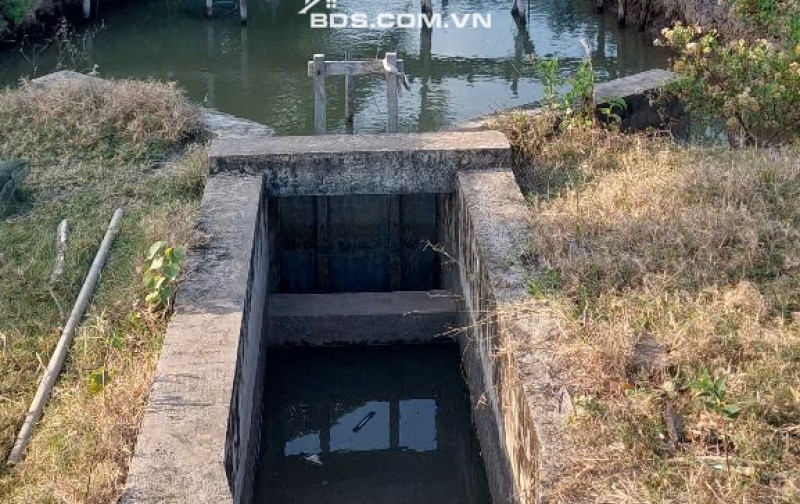 CƠ HỘI VÀNG: SỞ HỮU 1,8 HÉCTA ĐẤT THỦY SẢN – TẶNG NGAY NHÀ KIÊN CỐ FULL NỘI THẤT