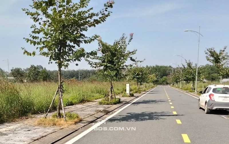 Cần bán lô đất vì áp lực vay ngân hàng, Quốc Lộ 51, Xã Bình An, Đồng Nai, giá đầu tư