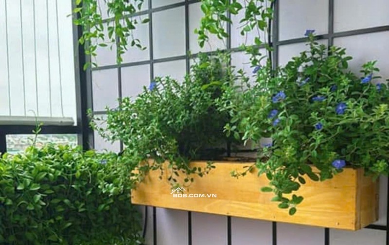 C/c Carillon 2, Trịnh Đình Thảo,Hòa Thạnh, TP: 78m2, 2p ngủ, 11tr/th