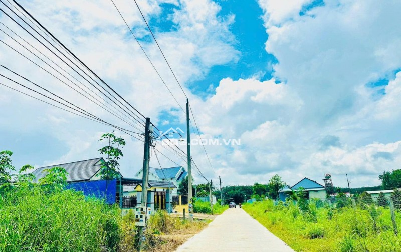 CẦN BÁN 10 LÔ 50X55=2750M2 SỔ RIÊNG ĐƯỜNG 18M CÁCH CHỢ TRƯỜNG HỌC 300M GIÁ 780TR