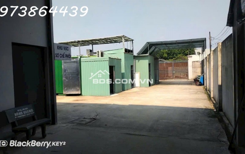 BÁN ĐẤ-  TẶNG XƯỞNG NẤM - PIN NĂNG LƯỢNG MẶT TRỜI MẶT TIỀN KINH DOANH - TẠI CỦ CHI - NGANG 18M - 2300M2 - GIÁ 12 TỶ TL