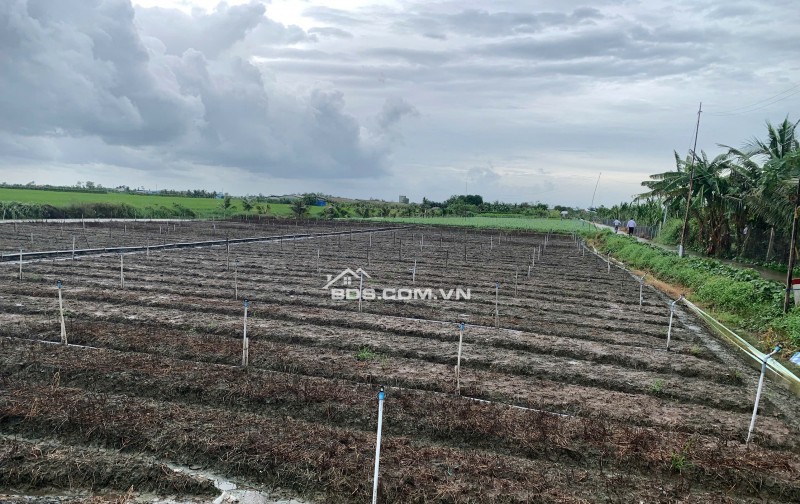 Bán gấp đất nền thổ cư Bà Lẫy Sổ sẵn công chứng ngay