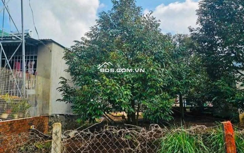 LÔ ĐẤT SỔ ĐỎ THỔ CƯ – PHƯỜNG TÂN LỢI – BUÔN MA THUỘT, CÁCH TRƯỜNG ĐẠI HỌC Y DƯỢC BUÔN MA THUỘT 4 km = 780 triệu