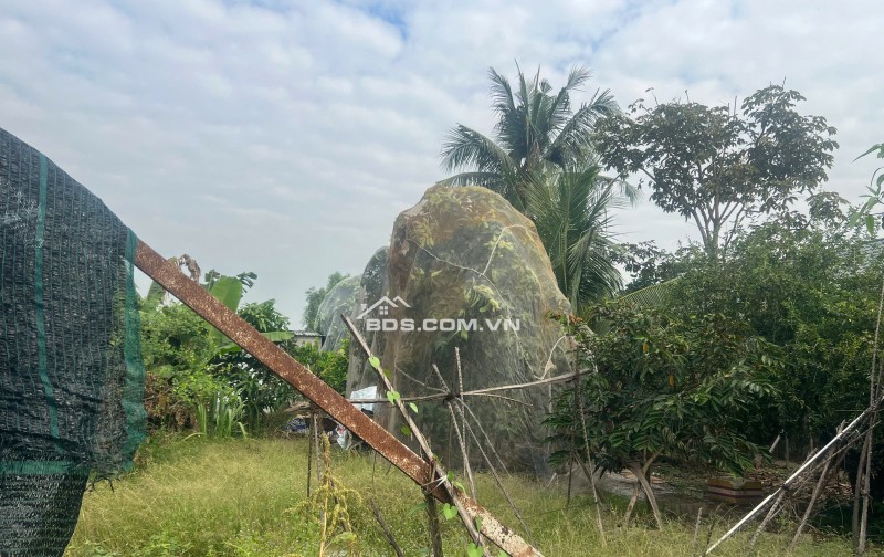 Cần bán 4006m2 đất vườn đường nhựa gần khu nhiều Bệnh viên nhi đồng TP hơn 1km