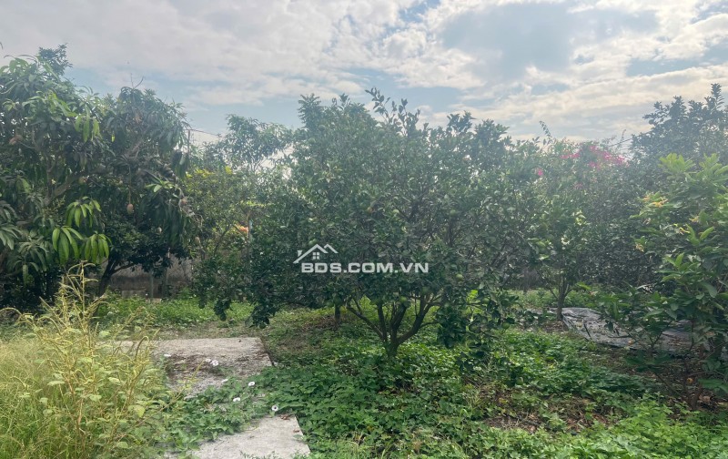 Cần bán 4006m2 đất vườn đường nhựa gần khu nhiều Bệnh viên nhi đồng TP hơn 1km