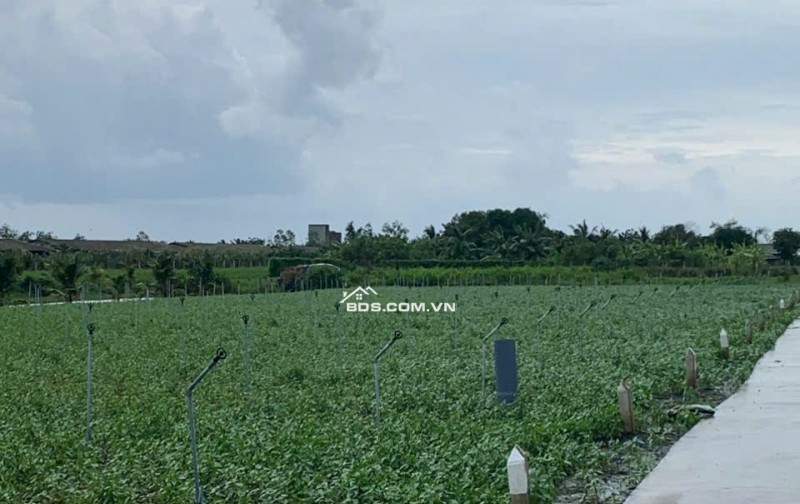 Bán gấp đất nền thổ cư Bà Lẫy Sổ sẵn công chứng ngay