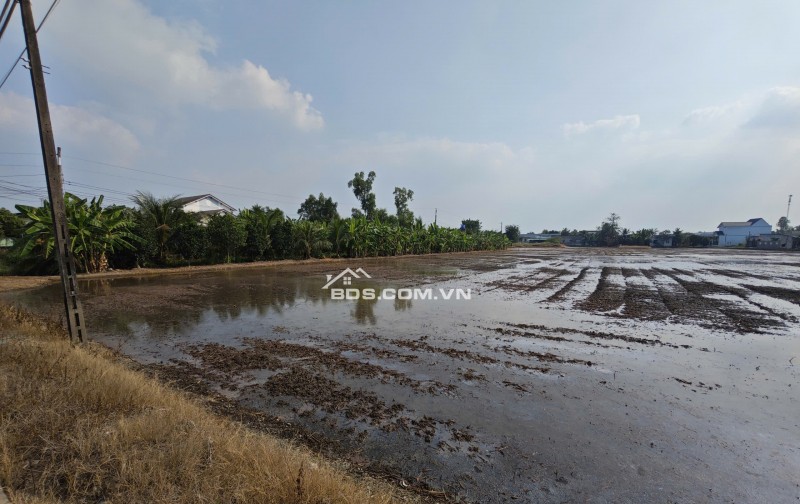 Bán gấp lô đất lúa chuyển thổ đường Vành Đai Tân An giá 22 tỷ