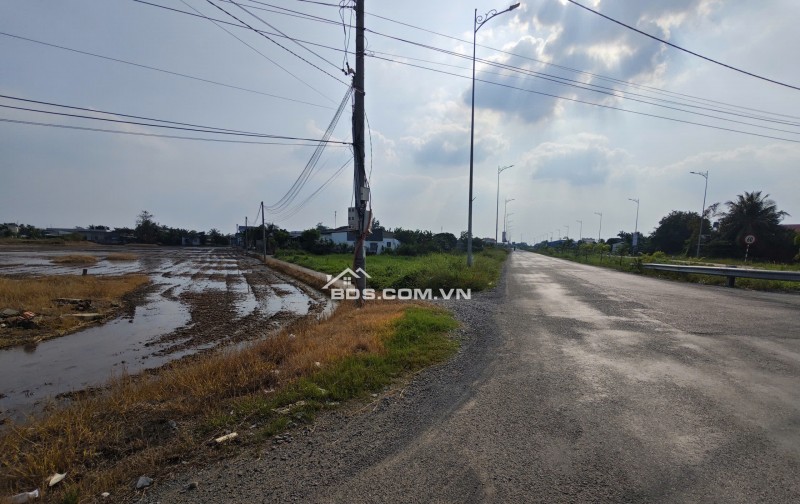 Bán gấp lô đất lúa chuyển thổ đường Vành Đai Tân An giá 22 tỷ