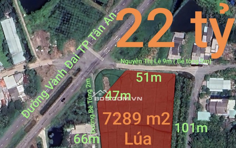 Bán gấp lô đất lúa chuyển thổ đường Vành Đai Tân An giá 22 tỷ