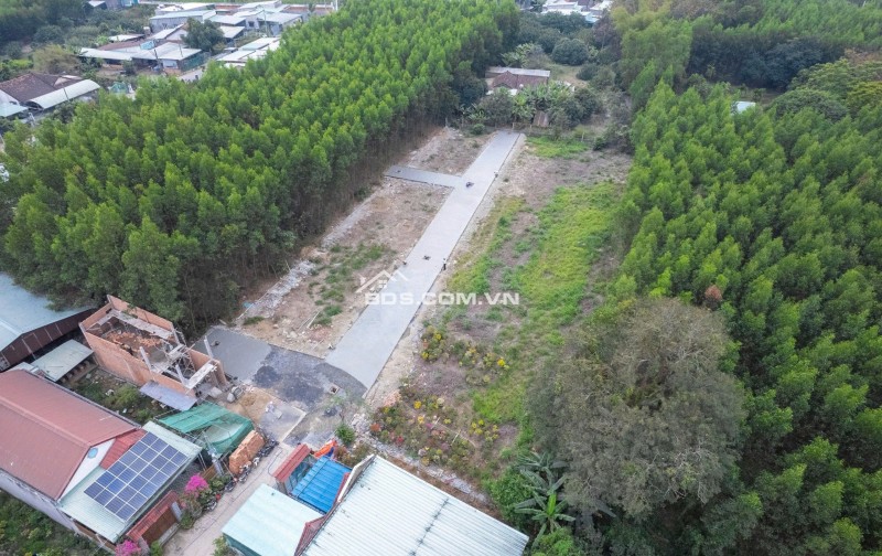 14 NỀN BĐS ĐẤT NỀN BÀU TRE, CÁCH HƯƠNG LỘ 15 CHỈ 400M, PHƯỜNG TÂN TRIỀU, DỒNG NAI