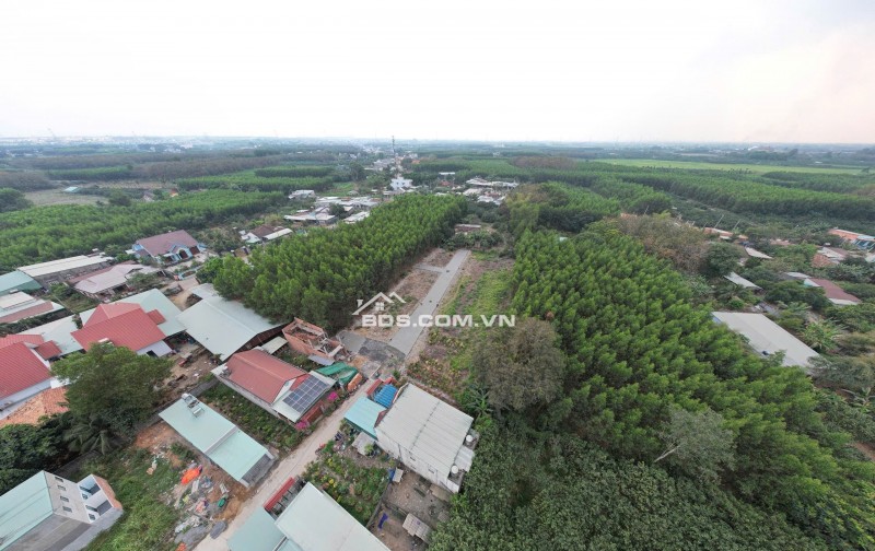 14 NỀN BĐS ĐẤT NỀN BÀU TRE, CÁCH HƯƠNG LỘ 15 CHỈ 400M, PHƯỜNG TÂN TRIỀU, DỒNG NAI