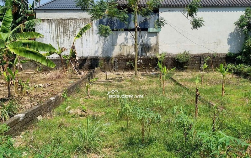 Vợ ck em cần bán mảnh khu đất full thổ cư- Đoài Phương, Sơn Tây, HN (Em chưa tiếp  kinh doanh, cần tìm khách mua ạ)