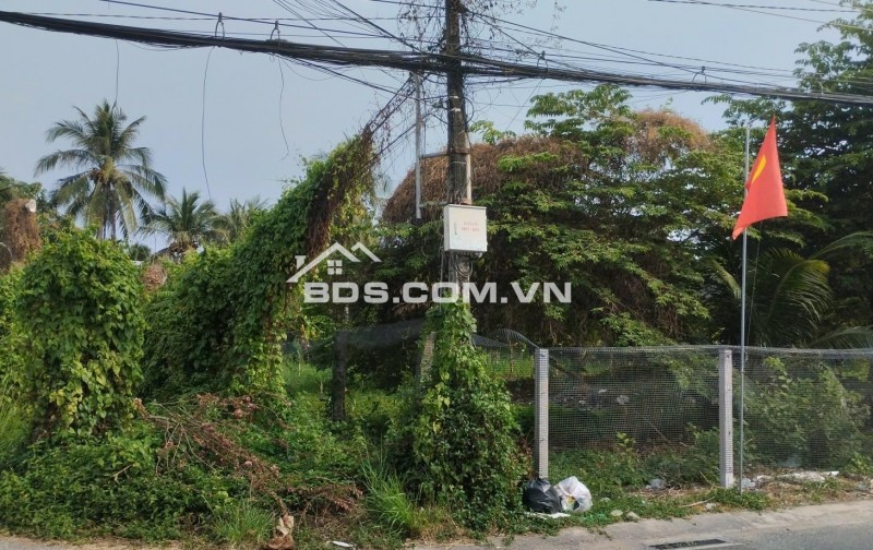 1000m2 đất mặt tiền lộ thầy Cai cách đại lộ Đông Tây 100m