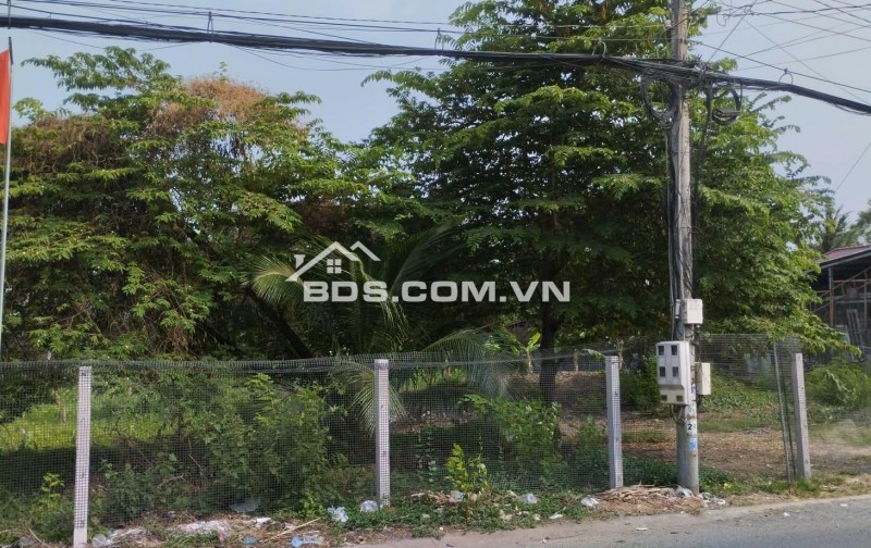 1000m2 đất mặt tiền lộ thầy Cai cách đại lộ Đông Tây 100m