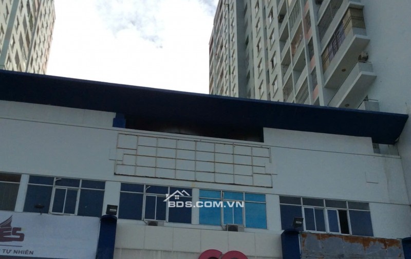Cho thuê căn hộ trung tâm thương mại (co.op mart) TP Vũng Tàu