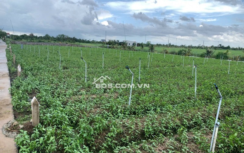 Bán gấp đất nền thổ cư Bà Lẫy Sổ sẵn công chứng ngay