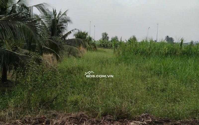 Cần bán lô đất thổ cư mặt tiền đường đan bờ kênh N3, Phường Tân Khánh, Thành Phố Tân An, Long An(Cũ)