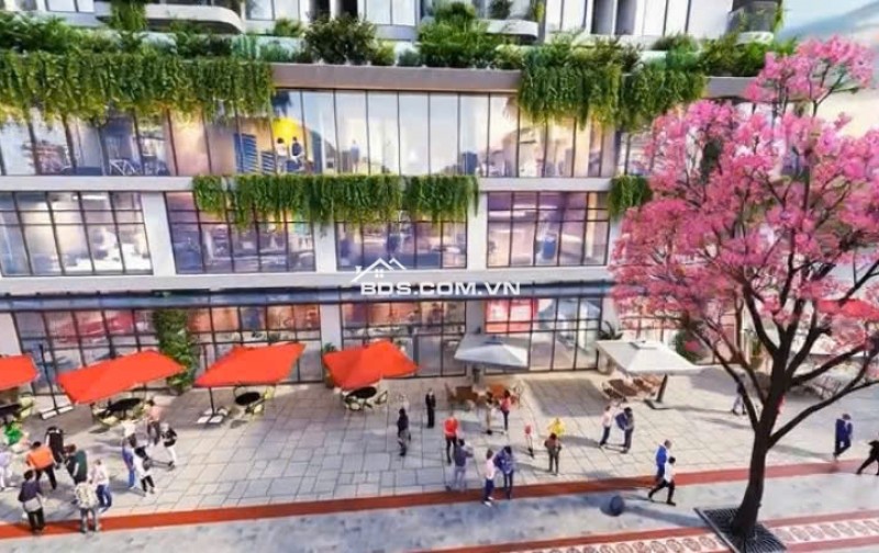 Nhà phố khu đô thị Ân Phú - Hà Huy Tập BMT giá chỉ 5,9 tỷ