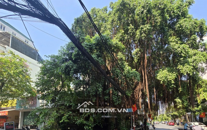 Siêu Góc 2 Mặt Tiền Kinh doanh cực đẹp Đường Số Tân Quy. Q7