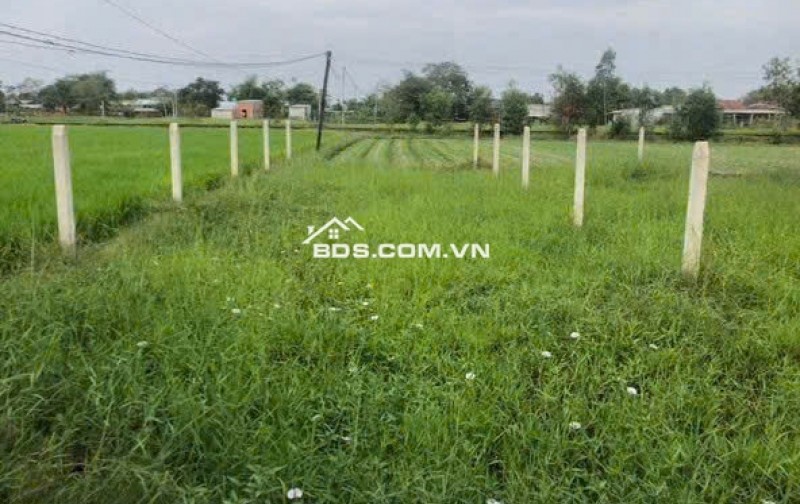 BÁN ĐẤT TẠI ĐỨC HOÀ DT102M2 SHR GIÁ BÁN 890T  THƯƠNG LƯỢNG. LH:0931821989.