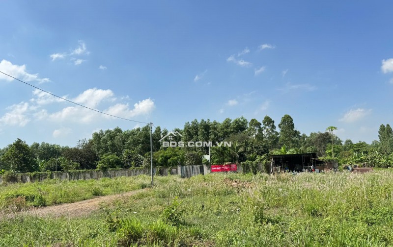 BÁN 3300M2 ĐẤT TẠI PHƯỚC TÂN - TP BIÊN HOÀ. SHR. 33 TỶ. LH:0933449988.