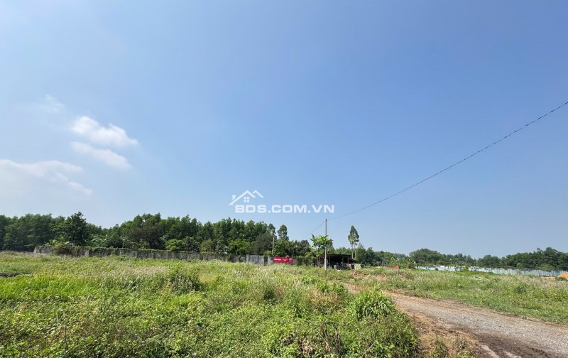 BÁN 3300M2 ĐẤT TẠI PHƯỚC TÂN - TP BIÊN HOÀ. SHR. 33 TỶ. LH:0933449988.