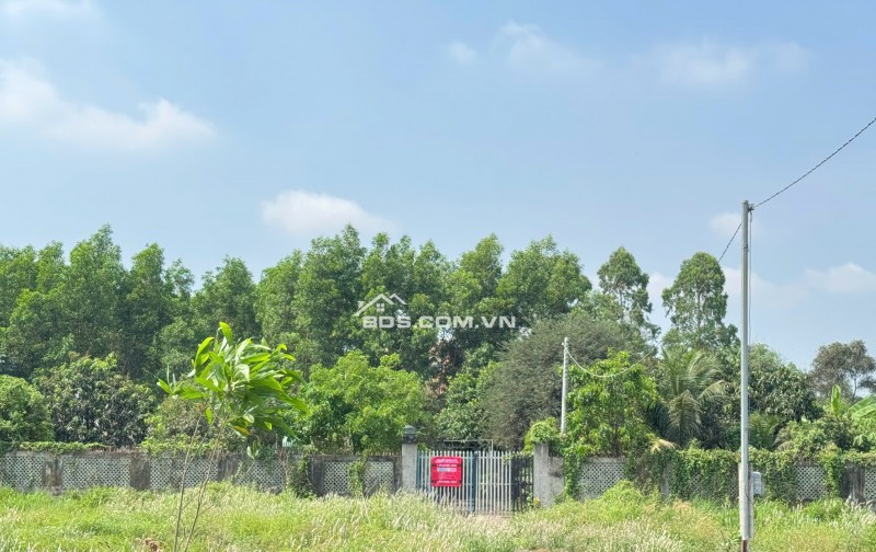 BÁN 3300M2 ĐẤT TẠI PHƯỚC TÂN - TP BIÊN HOÀ. SHR. 33 TỶ. LH:0933449988.