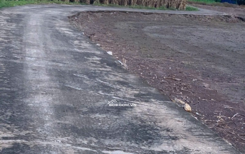 BÁN 4761m2 ĐẤT XÃ LÁNG DÀI, NGAY CHỢ LÁNG DÀI, HUYỆN ĐẤT ĐỎ BÀ RỊA (NAY LÀ XÃ ĐẤT ĐỎ - HCM)