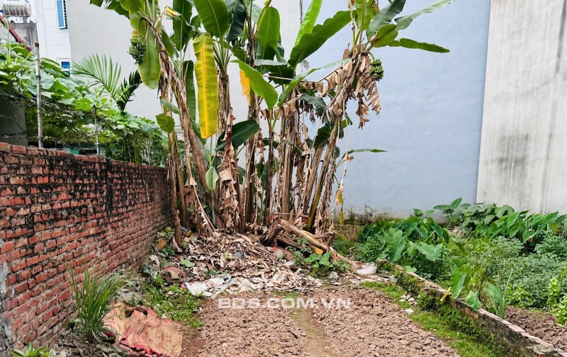 Bán Đất Miêu Nha – Tây Mỗ - 70m2 – mặt tiền 4.7 m – 7.75 tỷ.