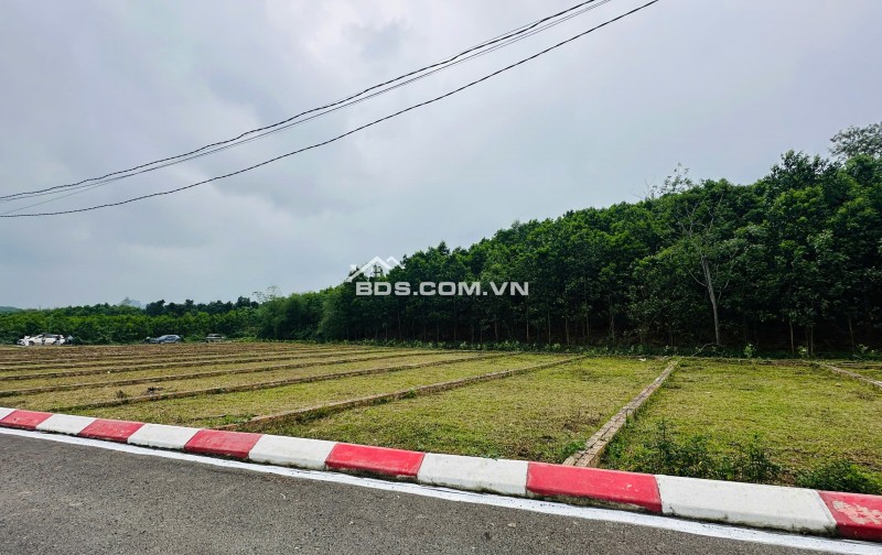  CƠ HỘI ĐẦU TƯ ĐẤT NỀN GIÁ TỐT TRUNG TÂM XÃ AN BÌNH, LẠC THUỶ– CHỈ TỪ 225TR/LÔ 