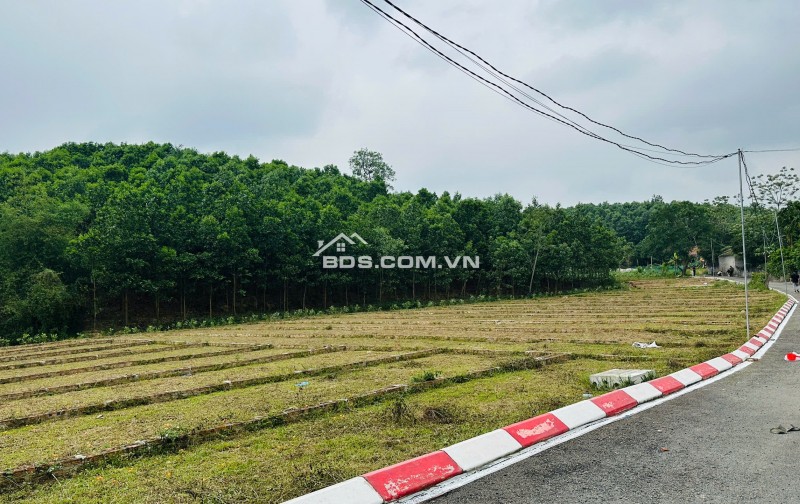  CƠ HỘI ĐẦU TƯ ĐẤT NỀN GIÁ TỐT TRUNG TÂM XÃ AN BÌNH, LẠC THUỶ– CHỈ TỪ 225TR/LÔ 